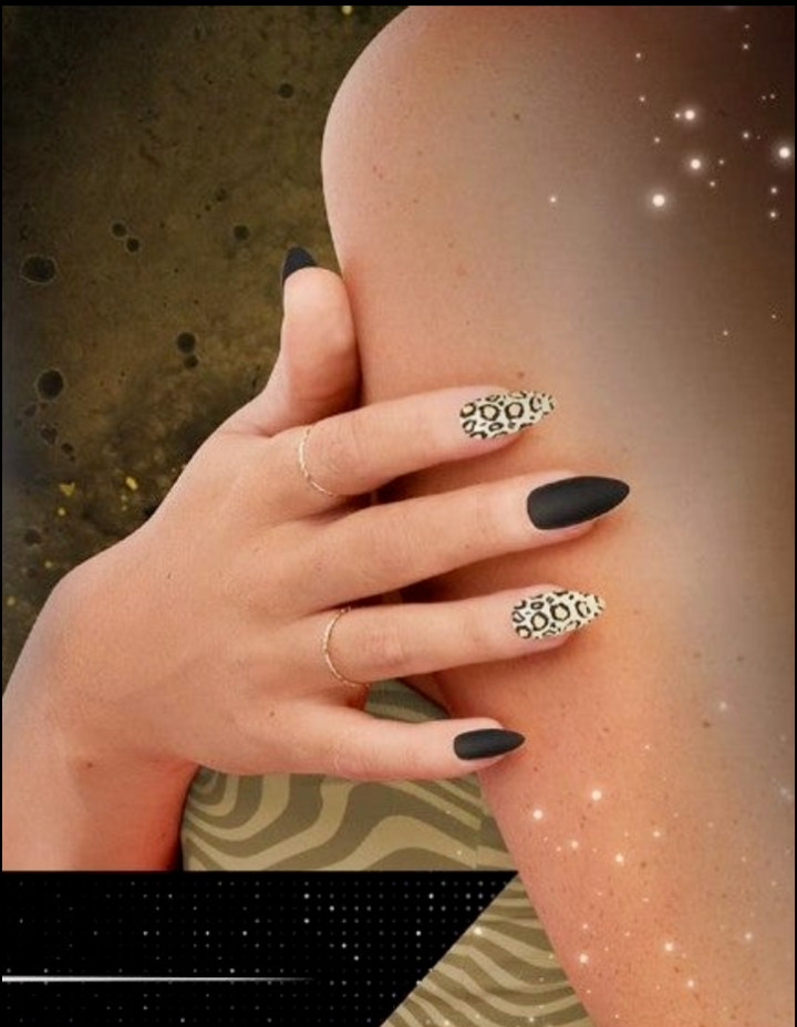 CALA *LEOPARD LUX* Stiletto Matte & Metallic Wild Print Press On Mani✨