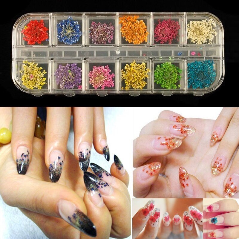 Natural Dry Flower Botanical Nail Art Decorations UV Gel Tips Manicure Accesorie