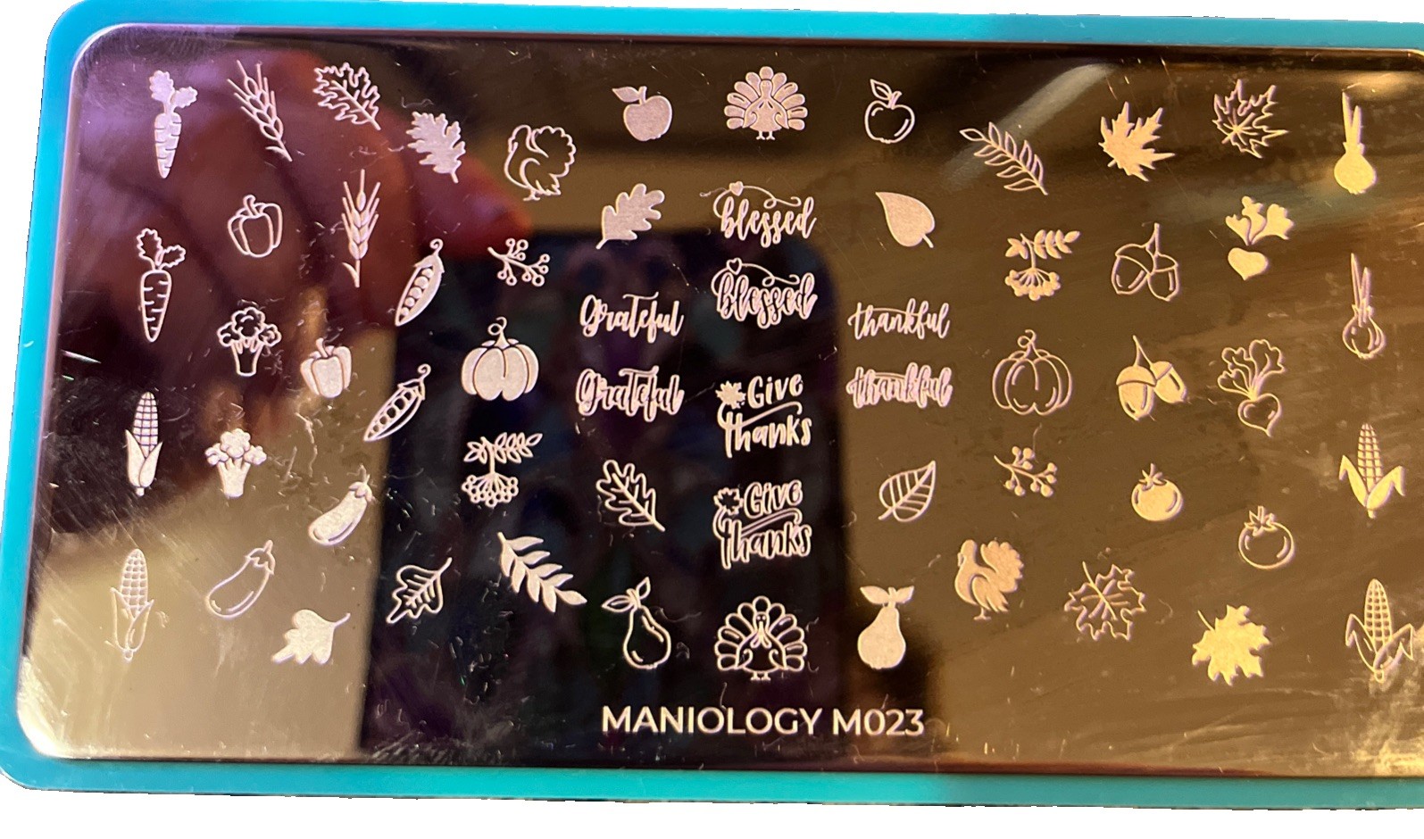 Maniology Nail Stamping Plates -M023, M536, M256