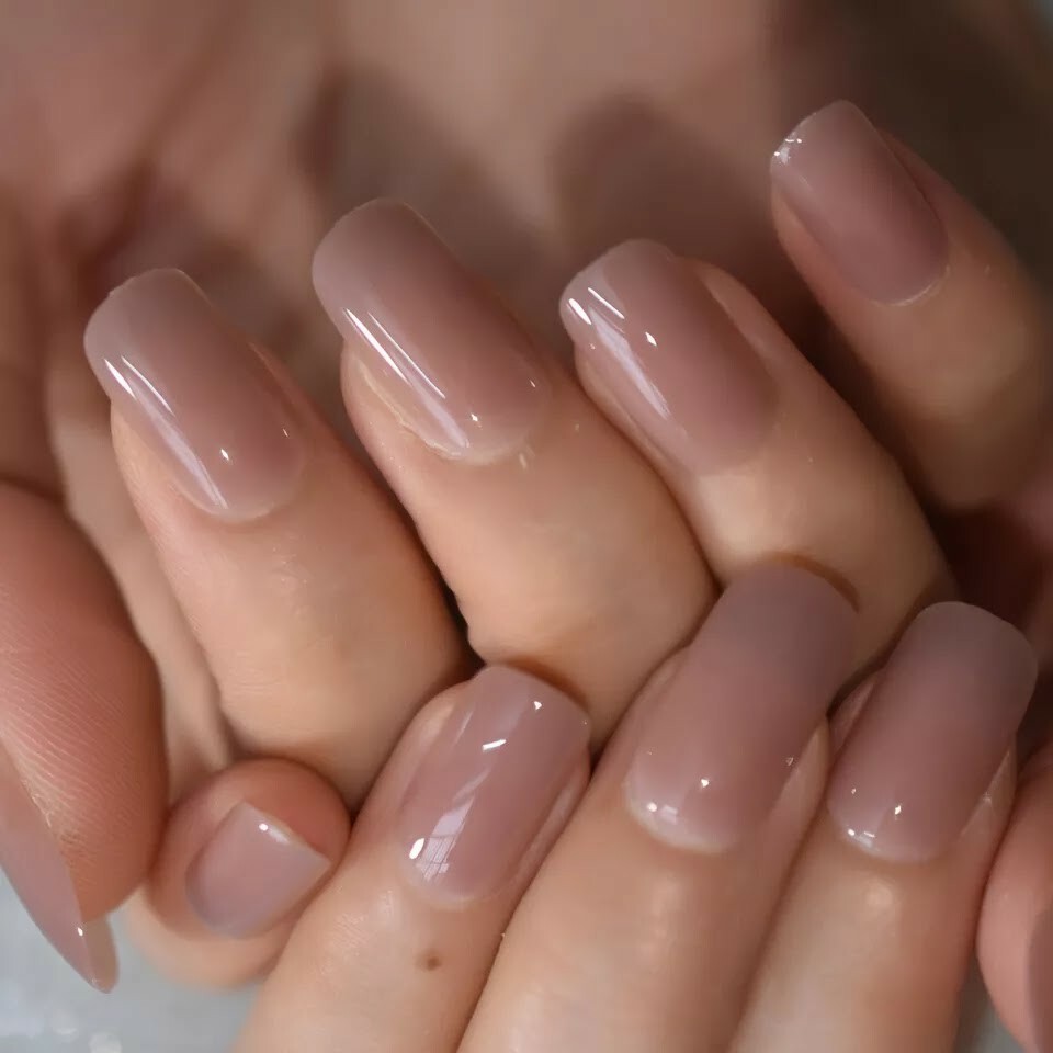 24 Square Nude Glaze Press on nails kit Glue on jelly tan clear taupe