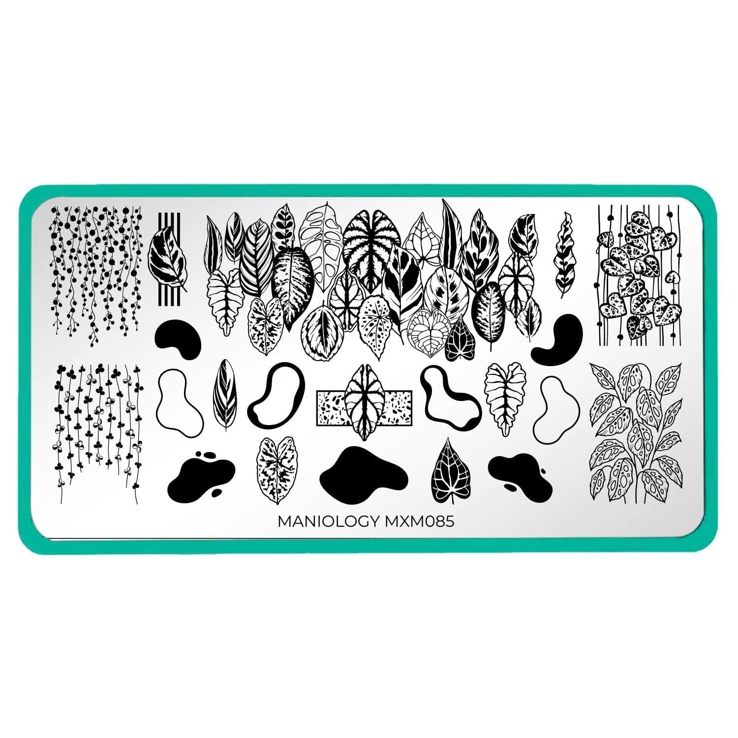 Plant Lover: Urban Jungle (MXM085) – Nail Stamping Plate