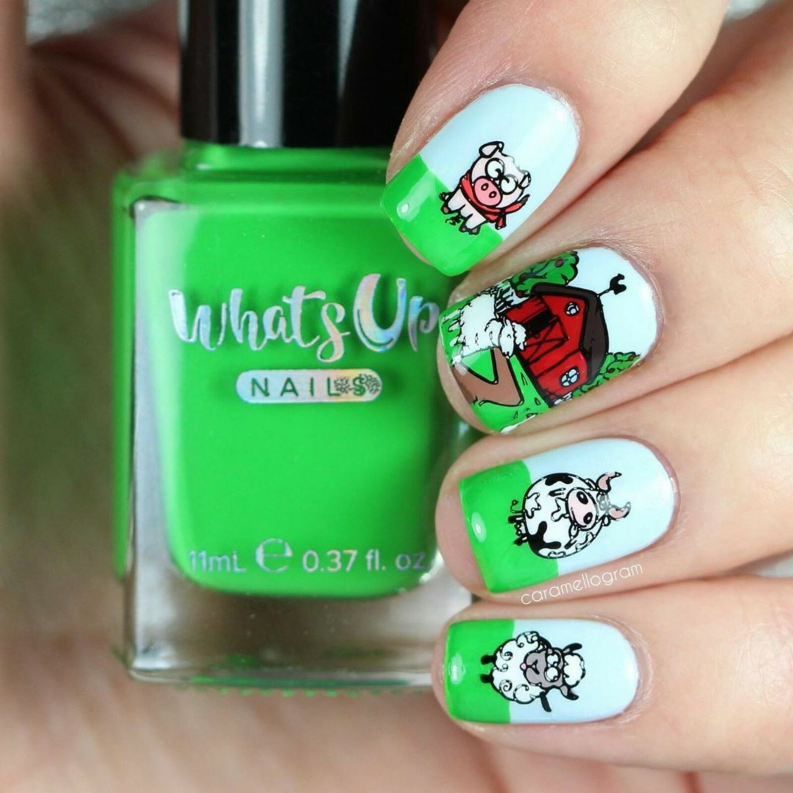 Nip it in the Bud Stamping Polish (Light Green), Nail Polish for Nail Art