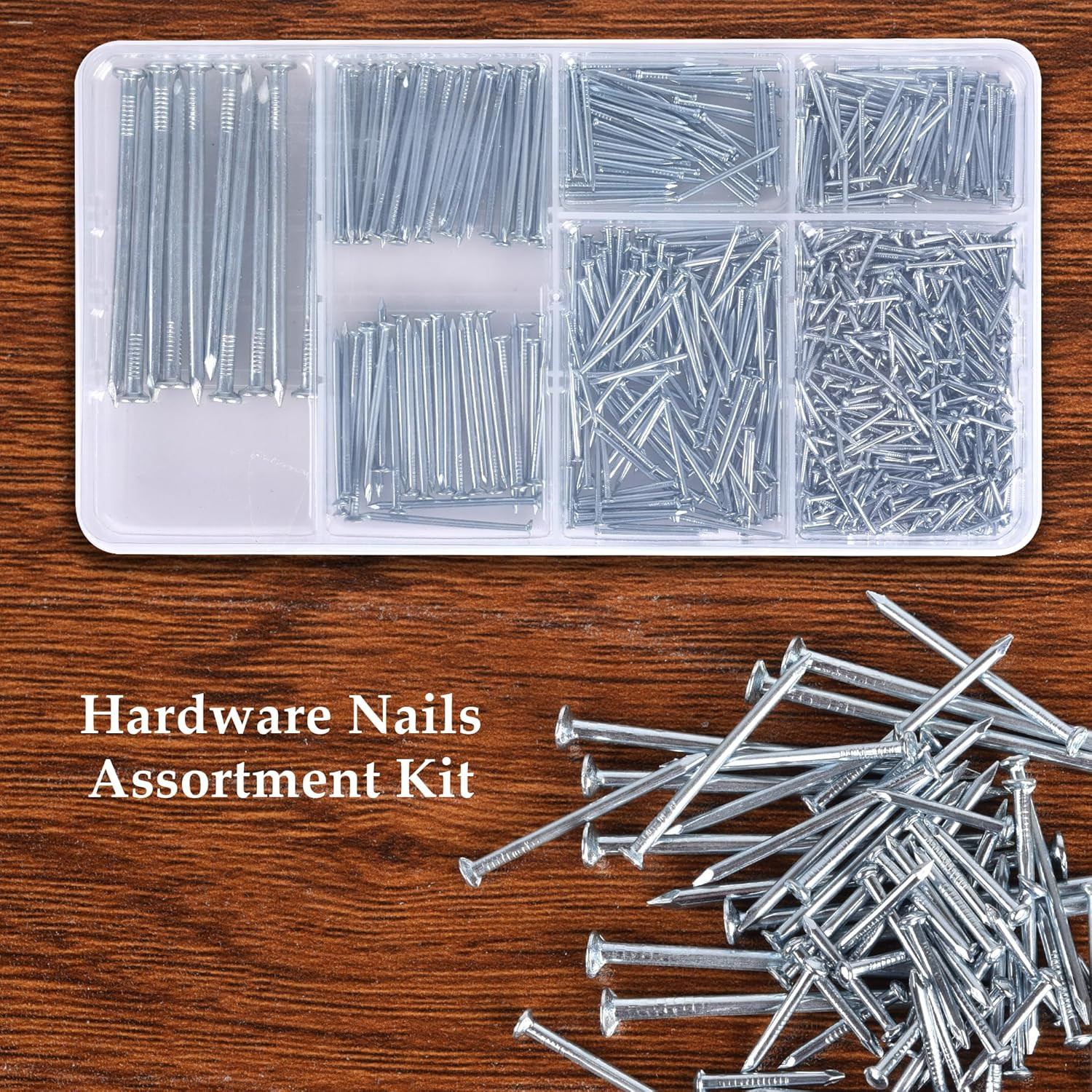 Nail for Hanging Pictures Assortment Kit – 750Pcs Small Nails, Finishing Nails,