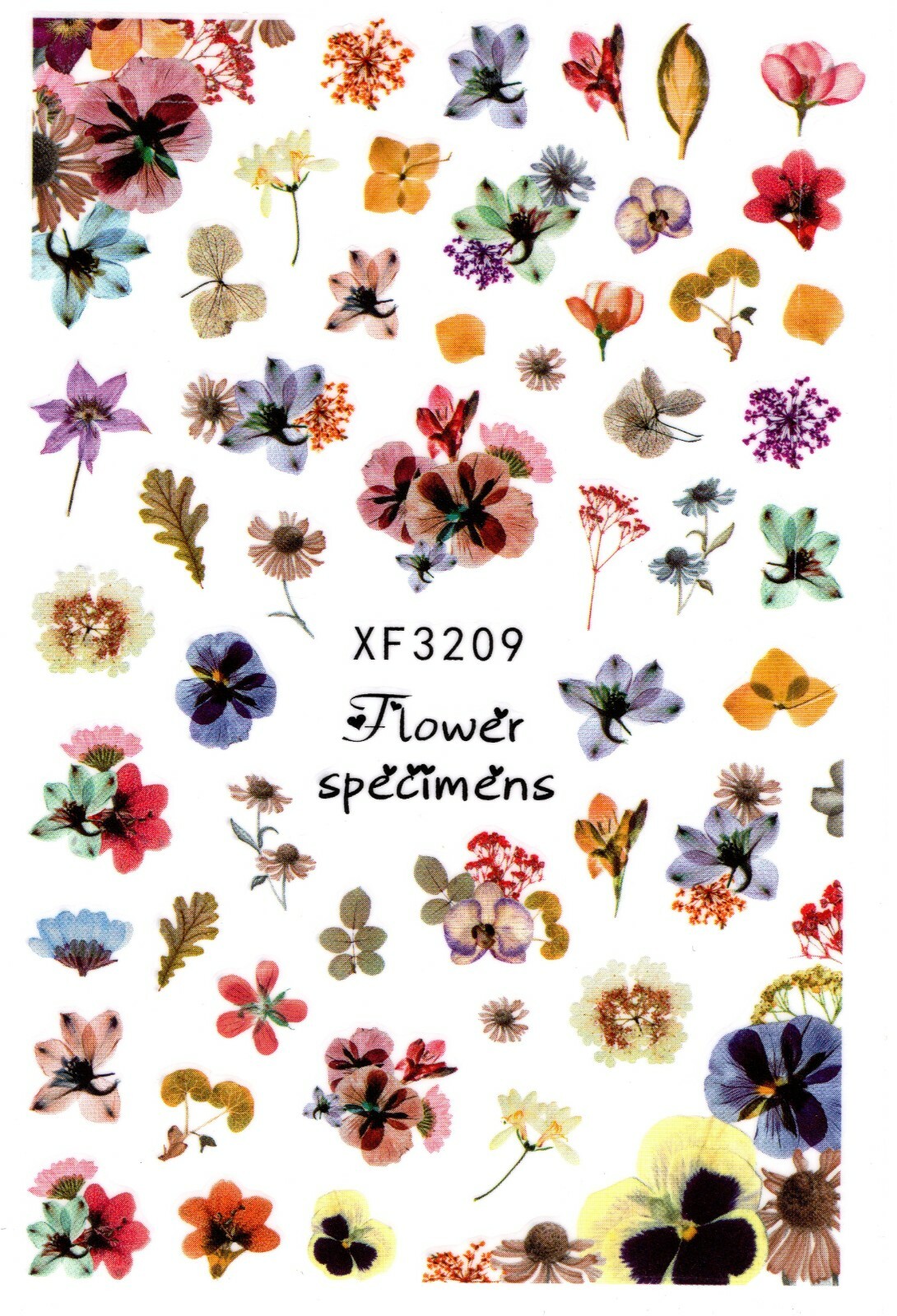 Nail Art 3D Decal Stickers beautiful purple red orange pink flower XF3209