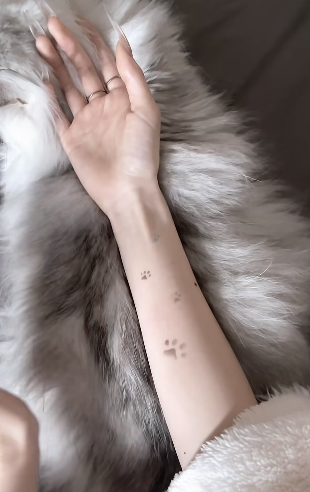 4pcs Warm Up Color Changing Cat Paw Tattoo Stickers Temperature Sensitive NH13