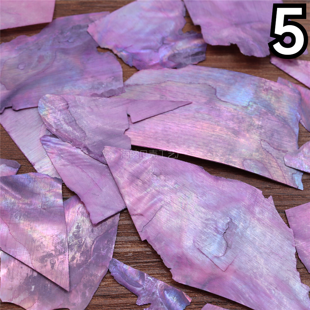10g Abalone Shell Flakes Irregular Shell Slices for Nail Art Supplies DIY