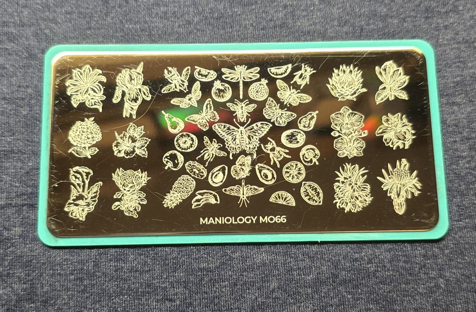 Maniology M066 Botanical Horticulture Insect Moth Butterfly Flower Nail Stamp