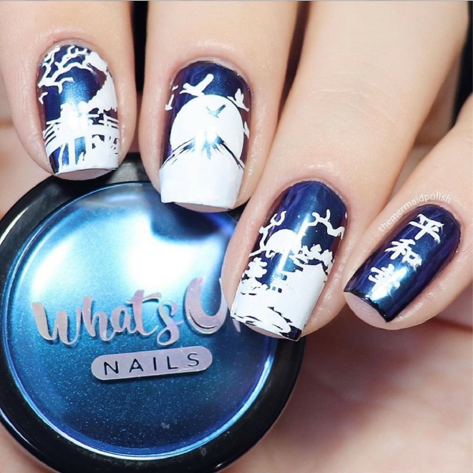 B051 I Just Want Sushi Stamping Plate For Stamped Nail Art Design