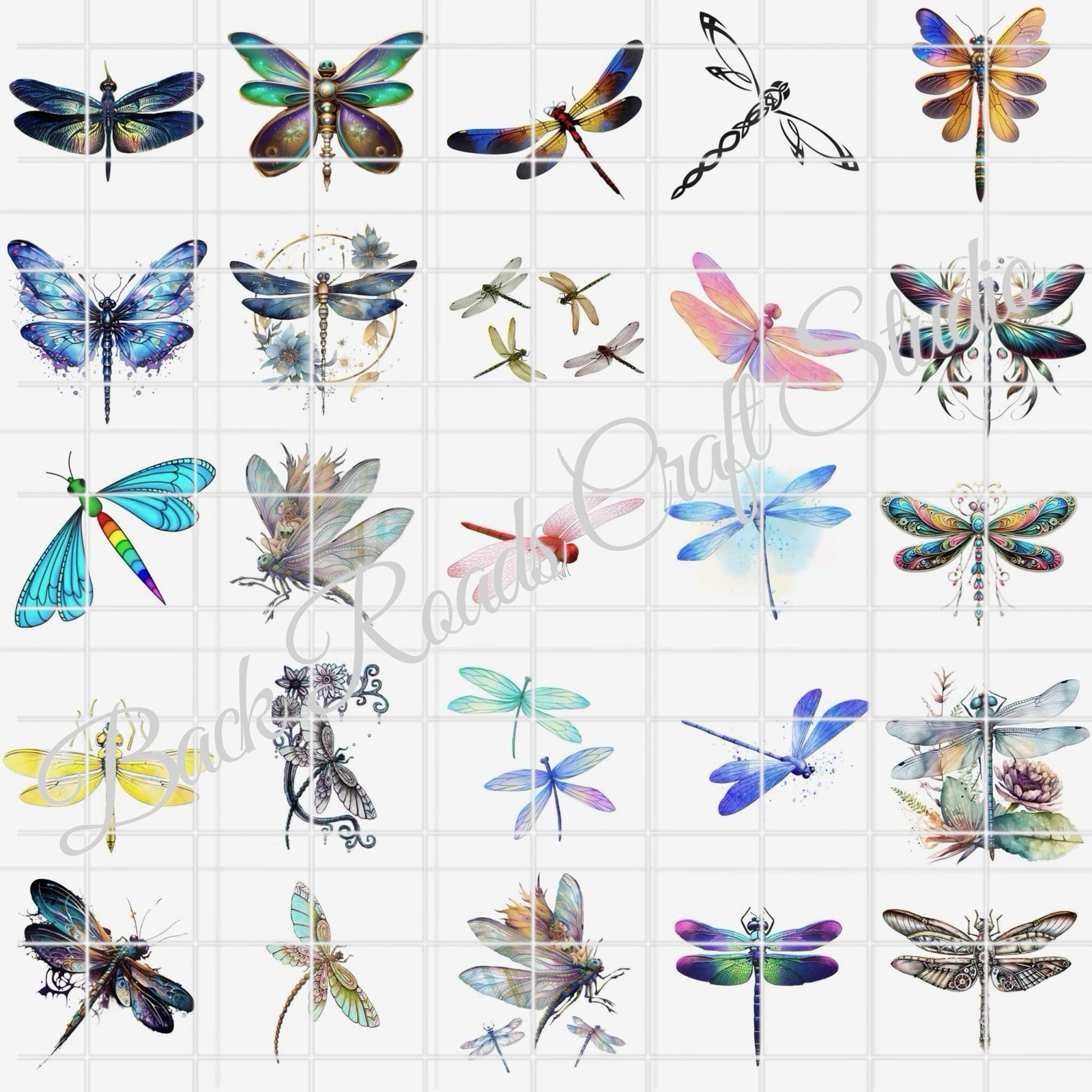 Dragonflies Waterslide Finger Nail Decals Instructions (set of 50) SS