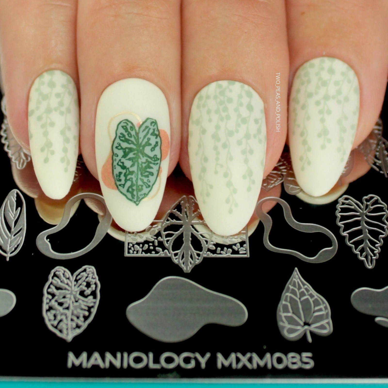 Plant Lover: Urban Jungle (MXM085) – Nail Stamping Plate