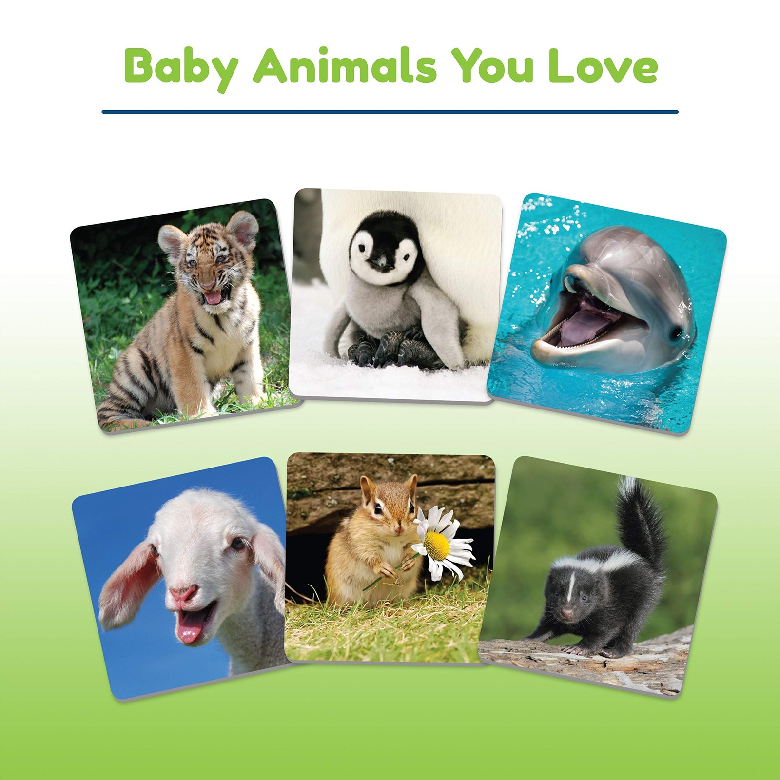 Wonder Forge Baby Animals Matching Game – 8 x 10.5 x 1.5 inches, Multicolor
