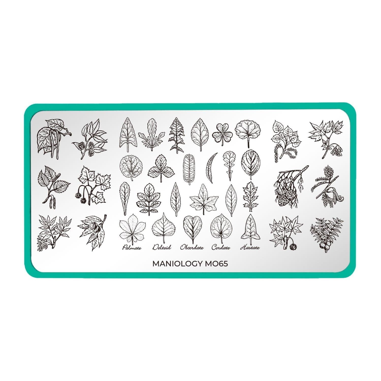 Maniology M065 Botanical Horticulture Leaf Plant Tree Flower Nail Stamp Plate