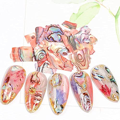 12 Grids Abalone Seashell Slices,Irregular Abalone Shell Slices Nail Art