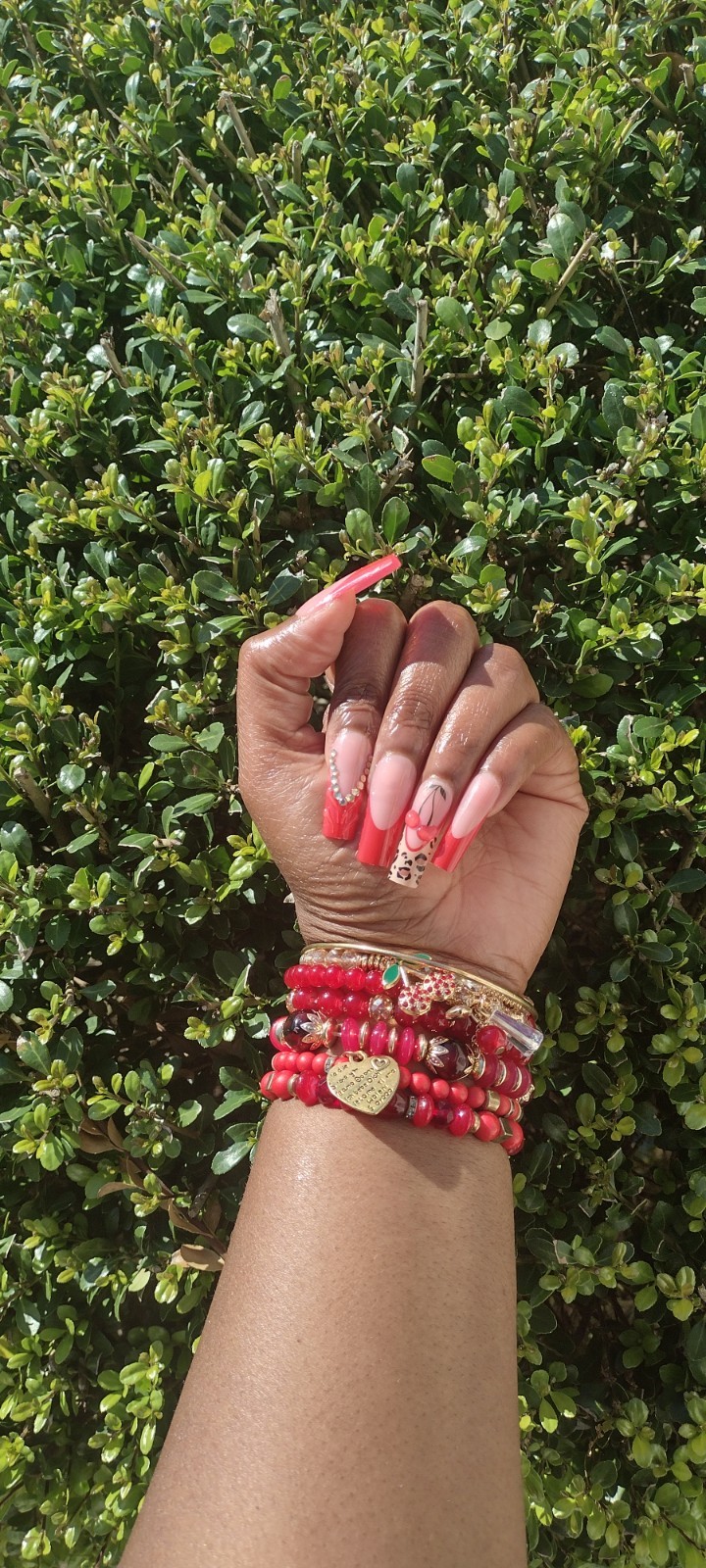 Red Cherry & Animal Print Press On Nail Set With Glue Included