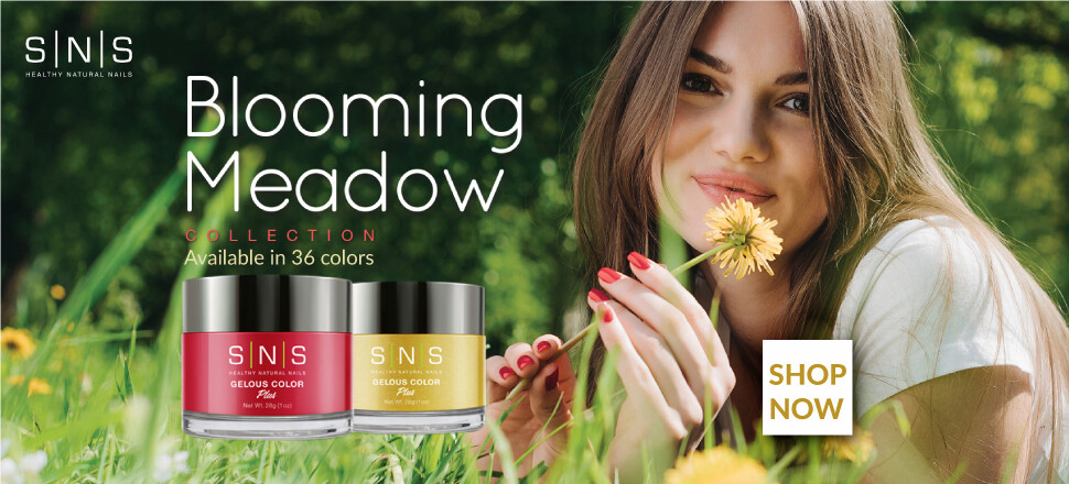 SNS color Nail Dipping Powder WINTER WONDERLAND&BLOOMING MEADOW COLLECTION WW&BM