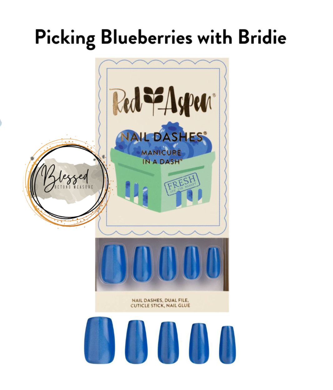Red Aspen Press On Nails~ Picking Blueberries with Bridie~Medium ~Blue ~Coffin