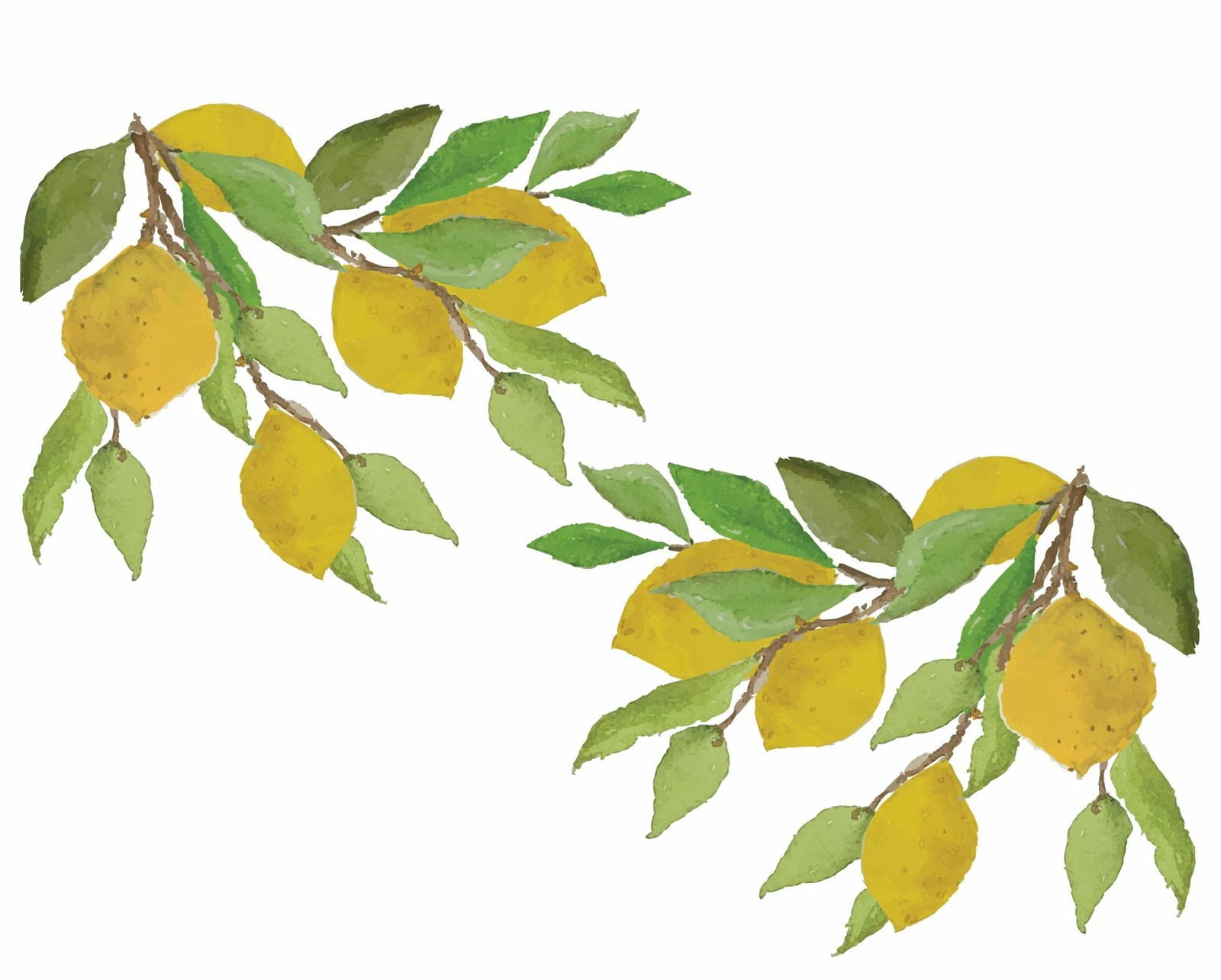 Lemon Branch Window Cling Sticker Decals for Home Décor and Kitchen Glass D