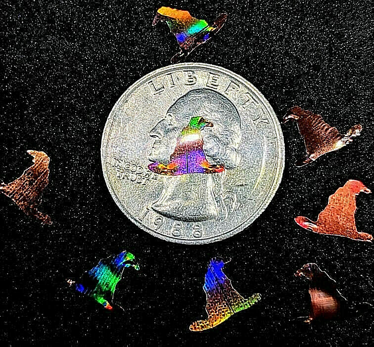 WITCH/SORTING HAT GLITTER~Holo Brown~Nail•Acrylic•Gel•Body Art•Face•Festival