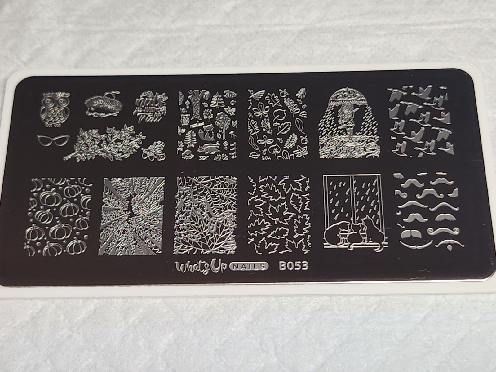 What’s Up Nail Stamping Plate B053 – That’s Pretty Autumn