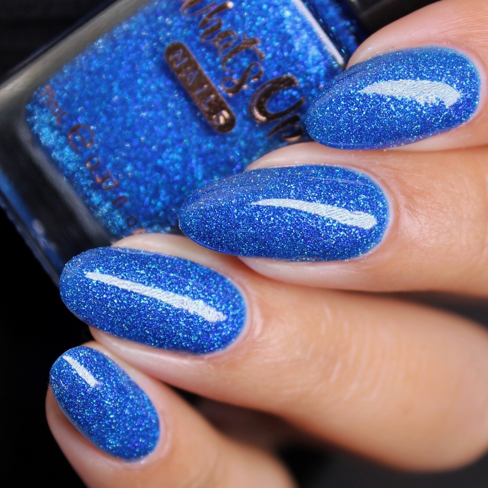 Under Sea Rendezvous Regular Polish (Flash Reflective), Nail Polish for Nail Art