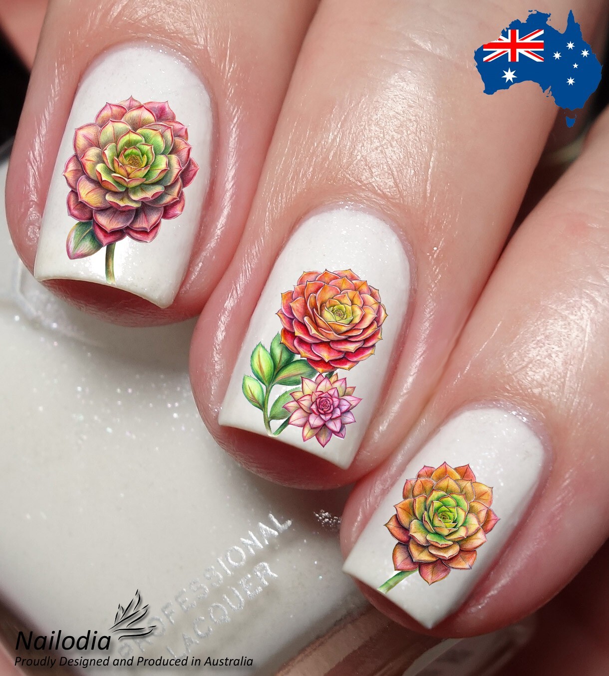 Aeonium Irish Rose Floral Flower Nail Art Decal Sticker Water Transfer Slider