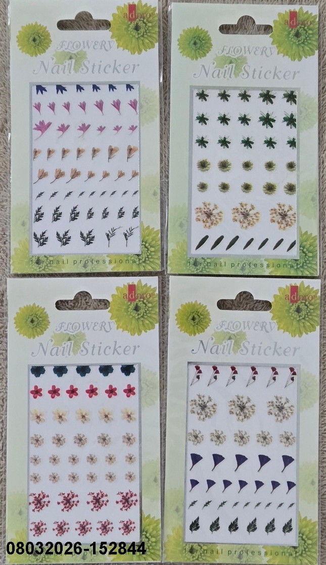 CLOSEOUT 6+4 NEW CARD STICKER NAIL ART MULTI DES & STYLE MANI PEDI KOREA EZ2APPL