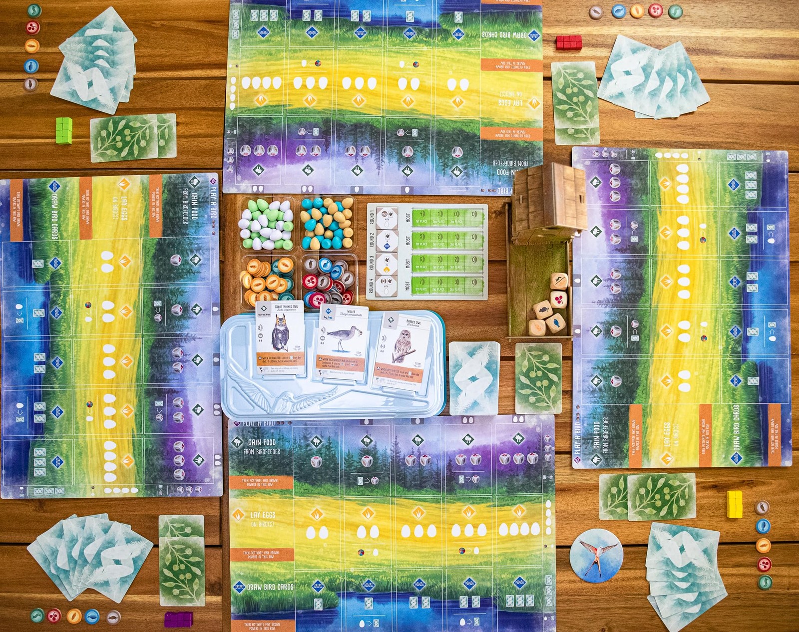 Stonemaier Games: Wingspan (Base Game) by Elizabeth Medium, Mixed Colours