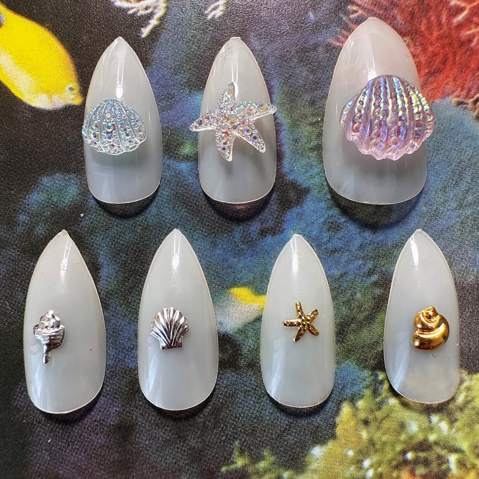 [‌DDP] Resin Nail Charms Shell Conch Starfish Shiny Nail Art Decoration