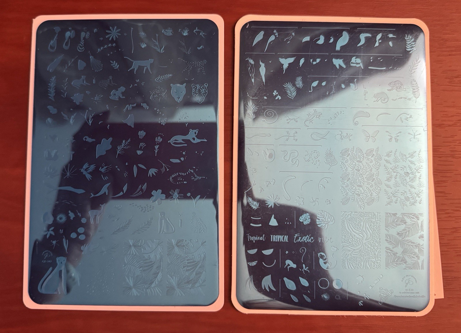 Clear Jelly Stamping Plates Set Of 2 CJS-343 Into The Wild & CJS-LC-58 Tropics