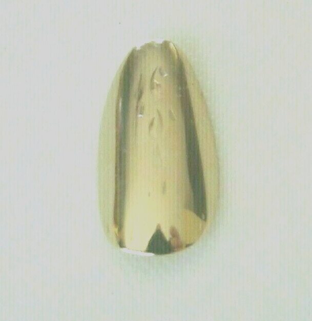 $10 EVERLASTING ENGRAVED PETALS DESIGN 14KT GOLD PLATED LGE REUSABLE FINGERNAIL