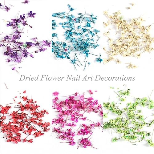 8 Boxes Dried Flowers for Nails Mini Real Nail Flowers 3D Dried Flowers Nail