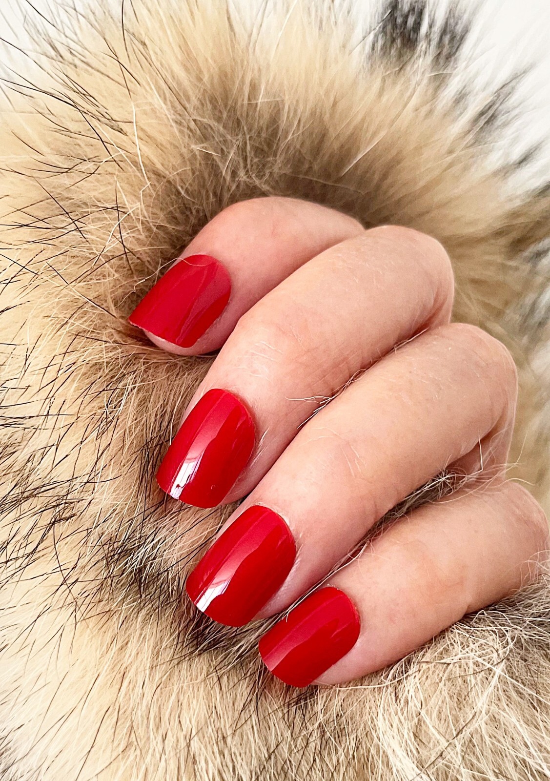 Handmade Press On Nails – Glossy Short Square Nails, Black White Red Fake Nails