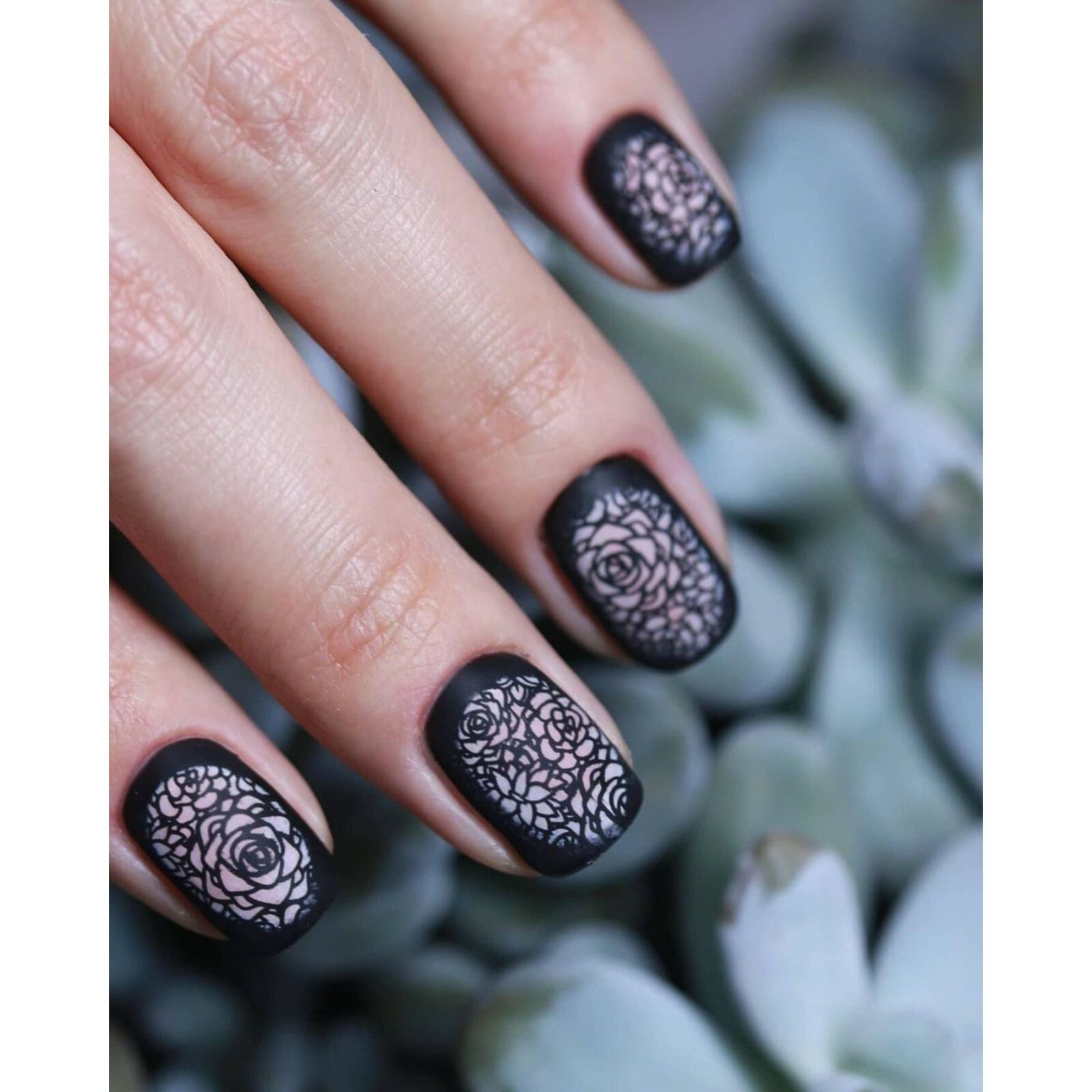 B060 Deserted Succulent Stamping Plate For Stamped Nail Art Design