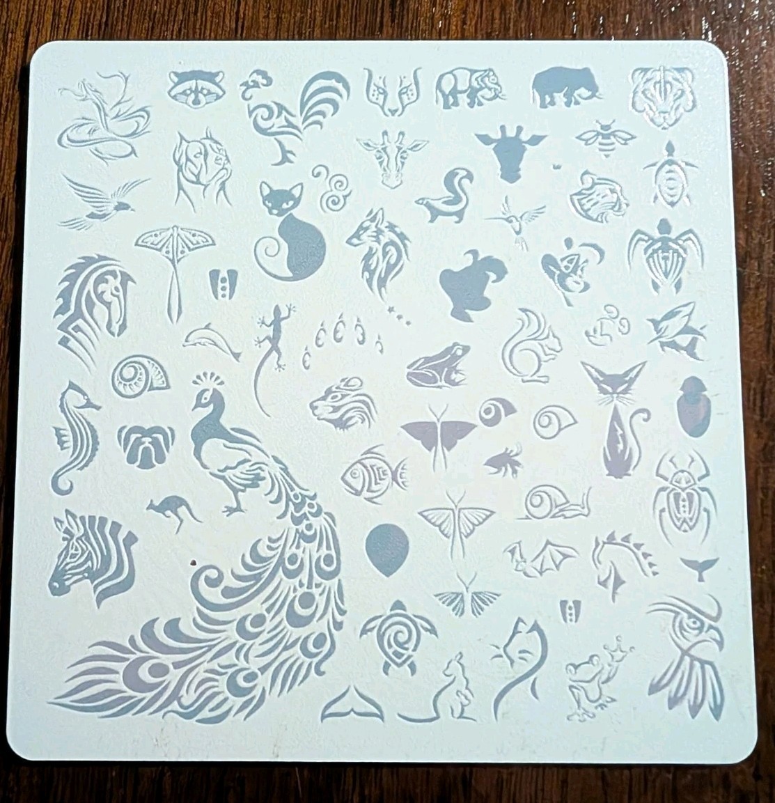 Nail Stamping Plates Bundle Lot Acrylic Animals Nature Designs Nail Art Set Rare