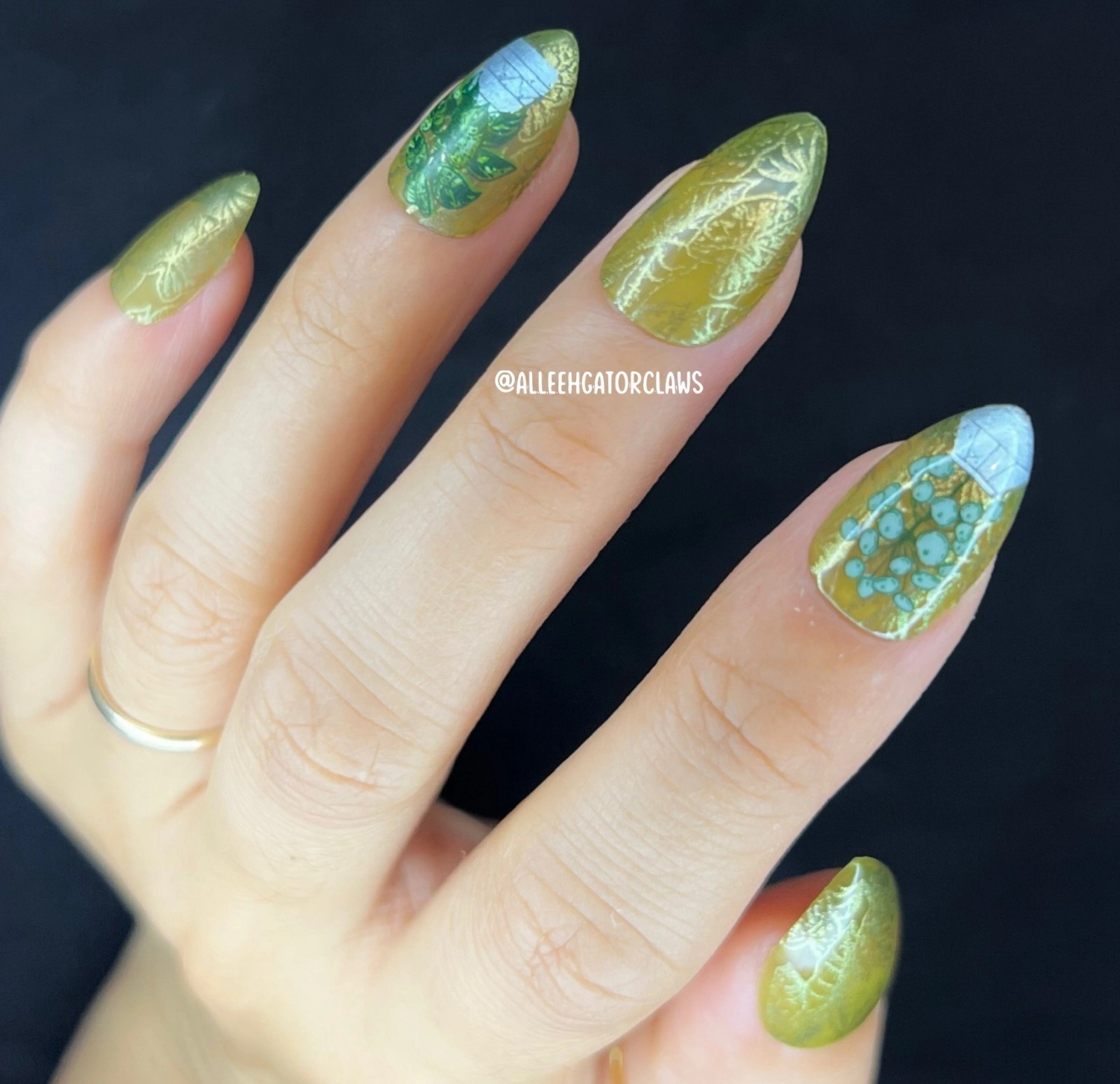 Plant Lover: Lush Living (MXM086) – Nail Stamping Plate
