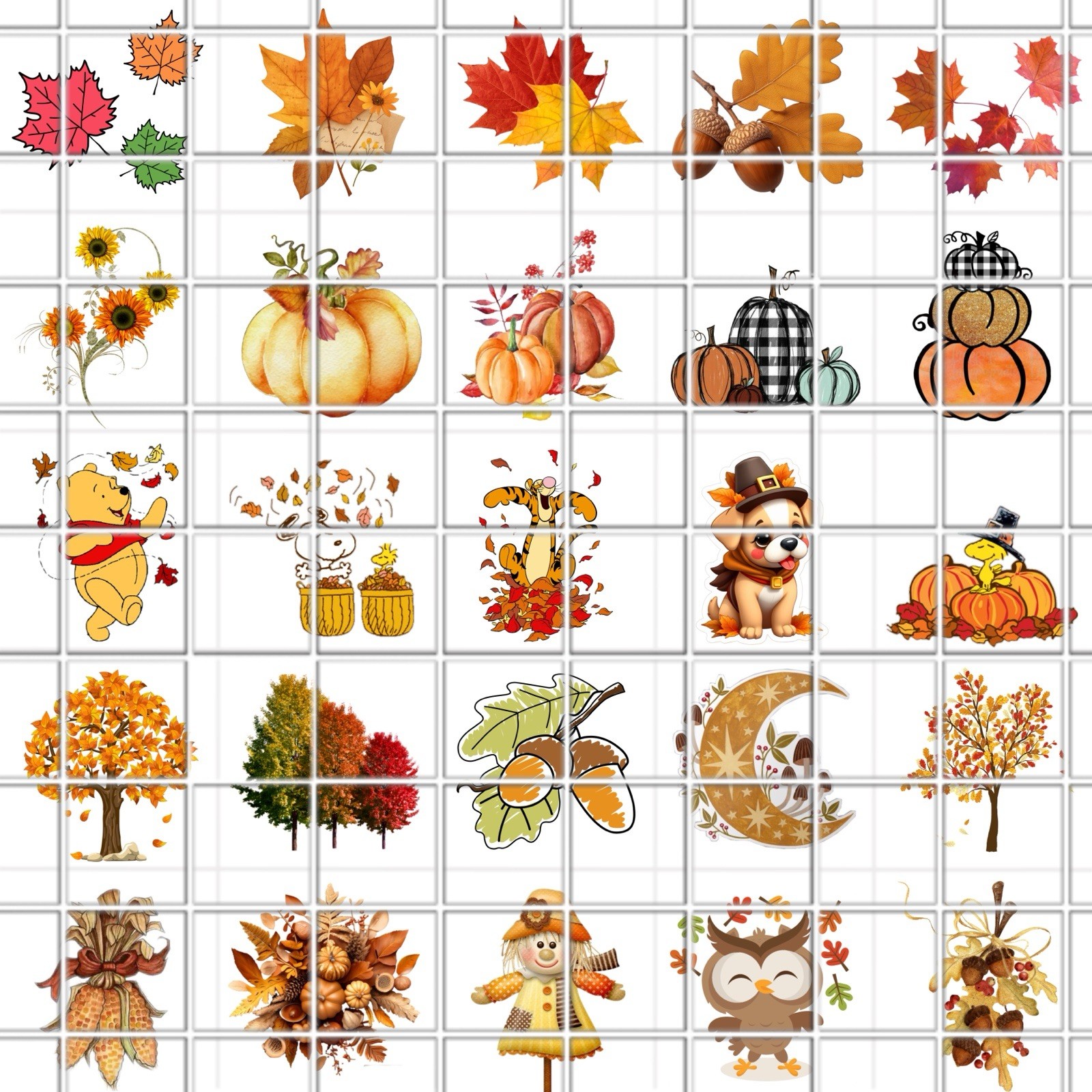 Fall Autumn Season Waterslide Nail Art Decals Set Of 50 Instructions Bonus &