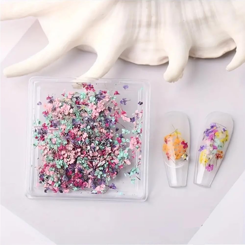 3D Dried Flowers for Nails, Spring Flower Nail Art Stickers 1Box Dried Flowers