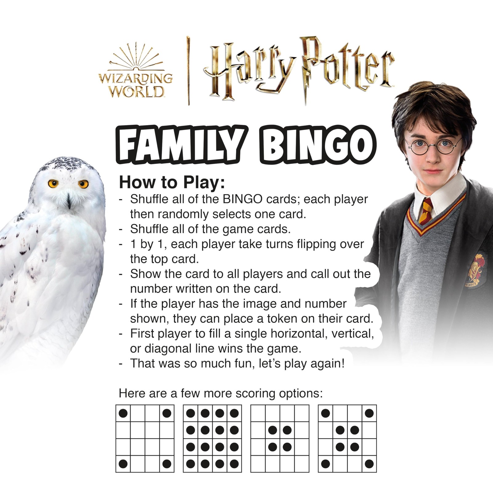 Aquarius Harry Potter Family Bingo Game – Fun One Size,