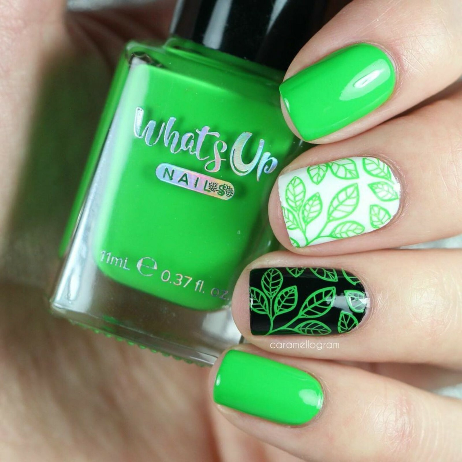 Nip it in the Bud Stamping Polish (Light Green), Nail Polish for Nail Art