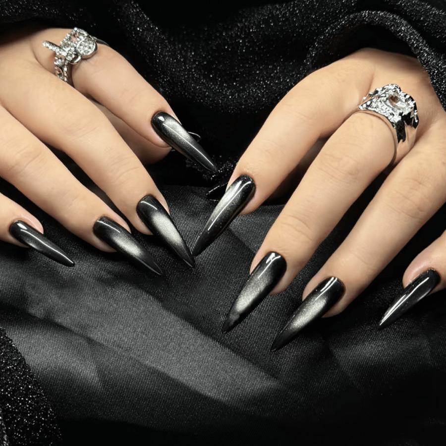48pcs Stiletto Press on Nails, Black Silver Cat Eye Glossy Gothic Nail Art