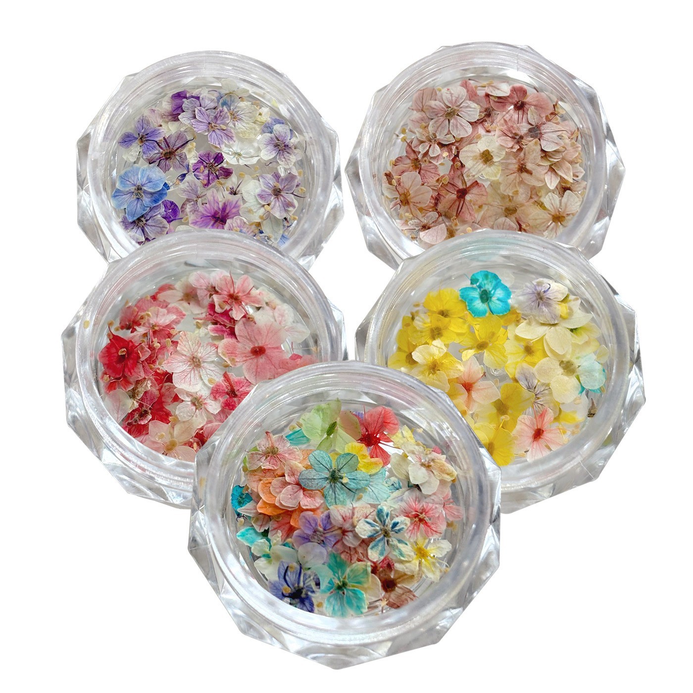 5 pots Dried Flower Acrylic UV Gel Nail Art Mixed Small Flowers Jewelry Decors