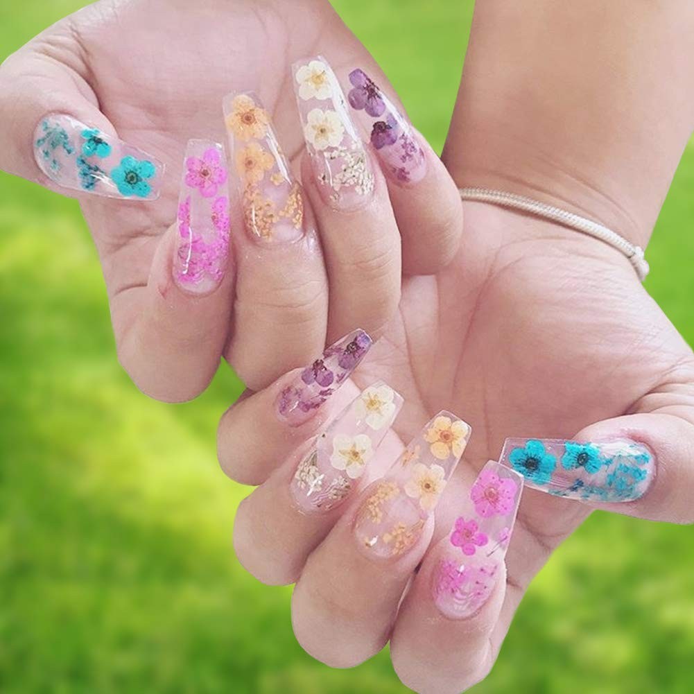 KISSBUTY 12 Colors Dried Flowers for Nail Art, 60pcs Mini 1 Count (Pack of 1)