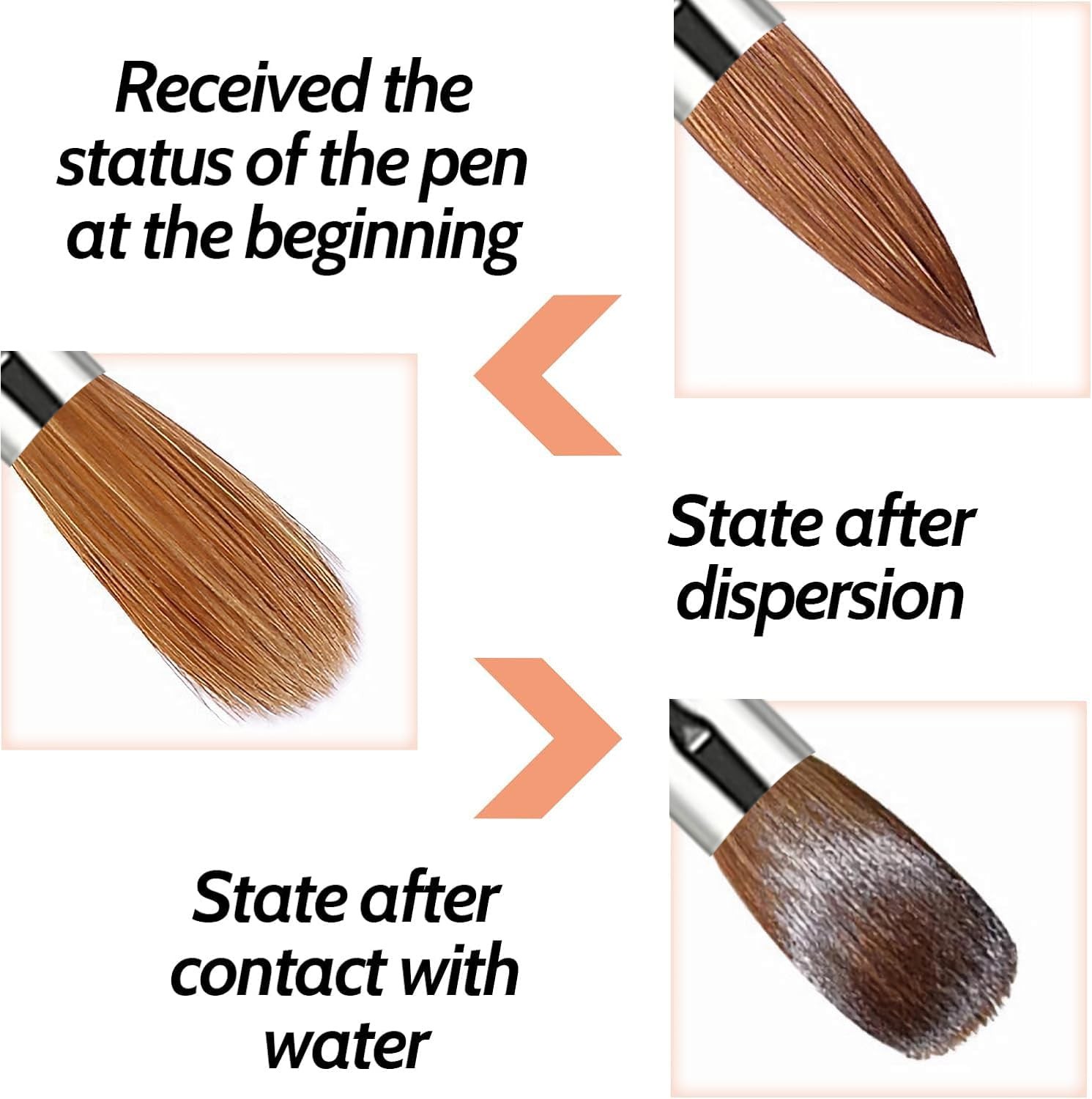 5PCS Acrylic Nail Brush Set – Size 8/10/14/16/18 Brushes for Acrylic Applicat…