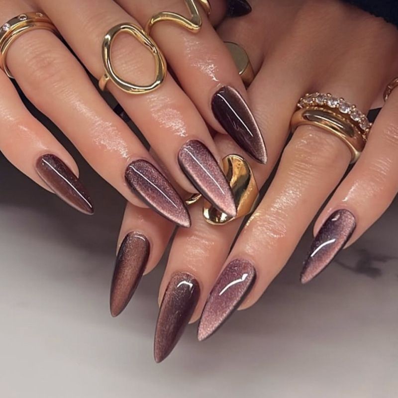 48 Pcs Brown Cat Eye Press on Nails, Long Stiletto Glossy Metallic Fake Nails