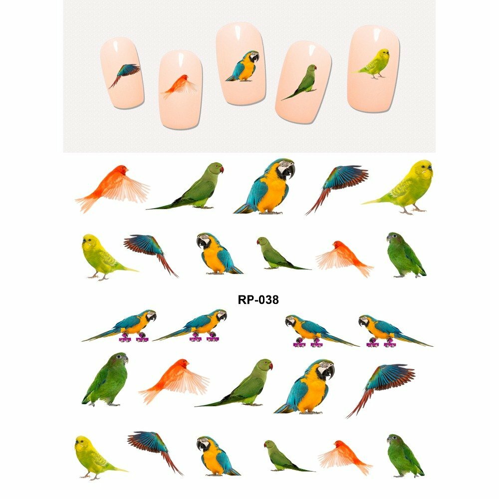 Nail art water transfer stickers decal yellow green orange parrots RP038