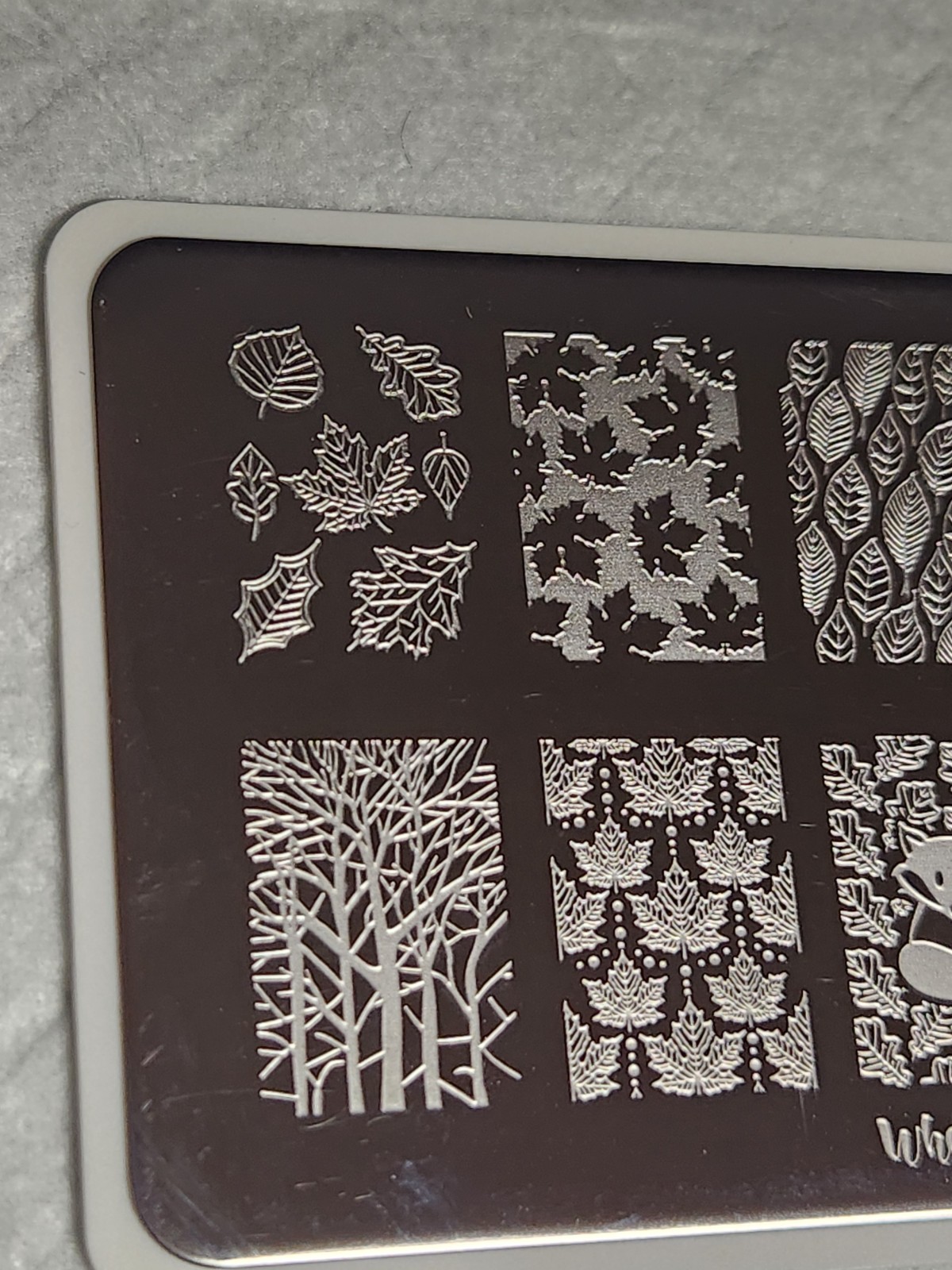 What’s Up Nail Stamping Plate B033 – Does it Look Like I Give a Fall?