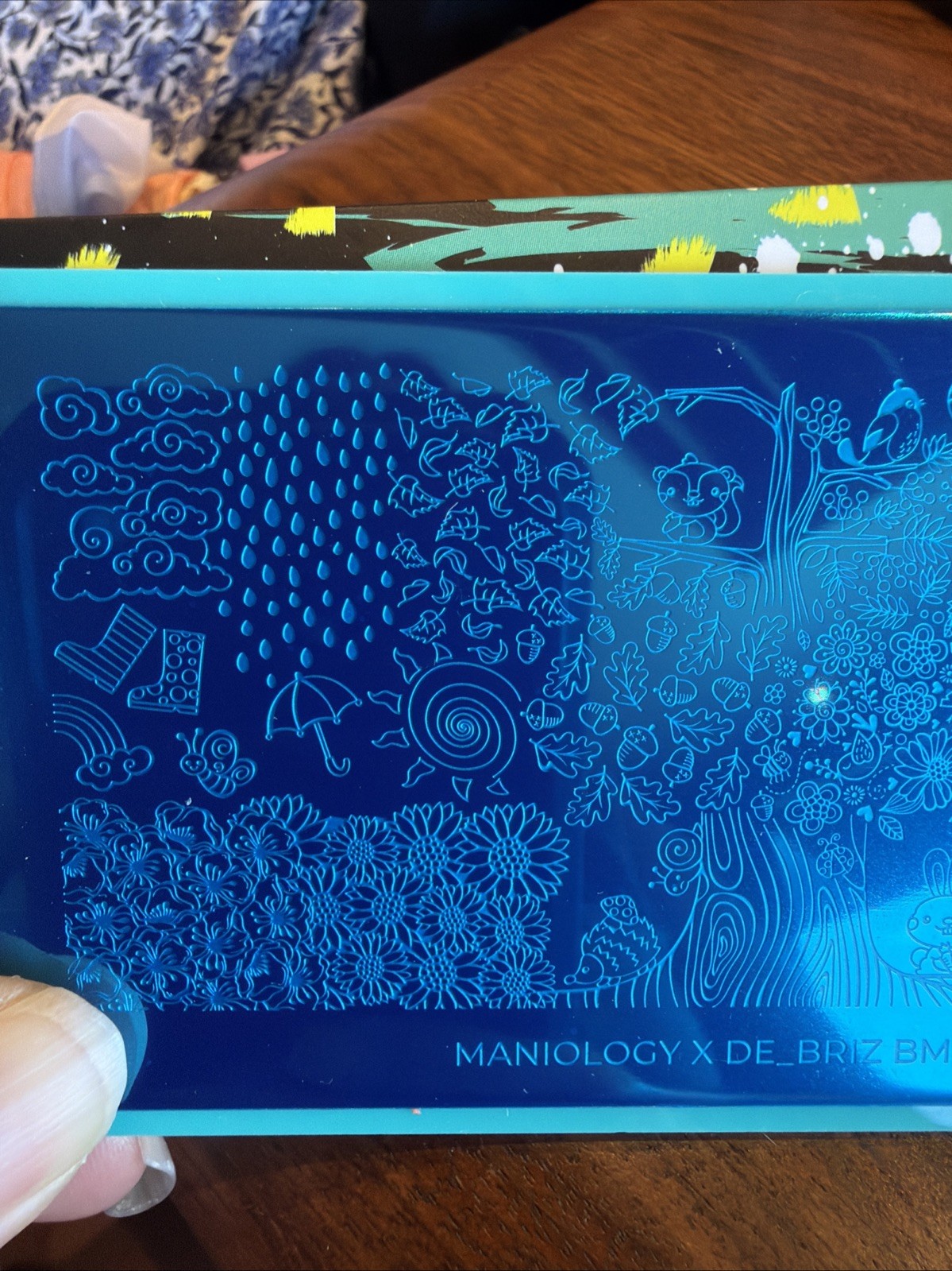 Bundle Monster Maniology de_briz Colab BM-XL215 Seasons Nail Stamping Plate NEW
