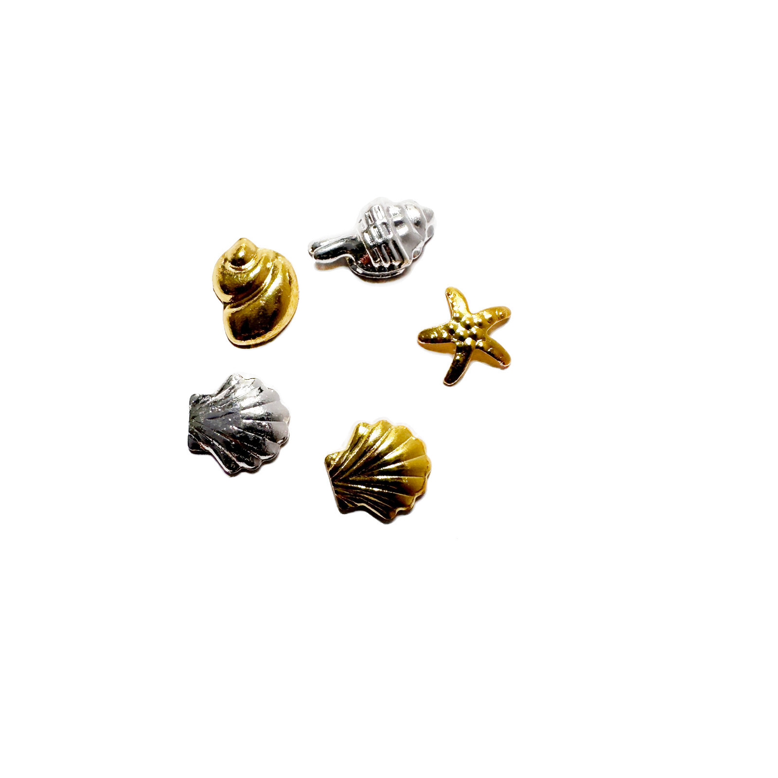 [‌DDP] Resin Nail Charms Shell Conch Starfish Shiny Nail Art Decoration