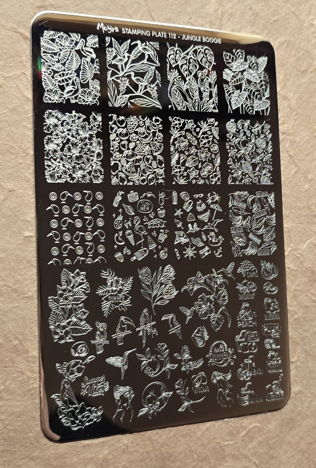 Moyra 112 Jungle Boogie Nail Stamp Plate Rainforest Birds Summer Toucan Fruit