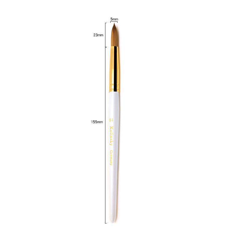 Acrylic Kolinsky Nail Brushes White Wood Sizes 8 to 22 Ships in 1 Business Day